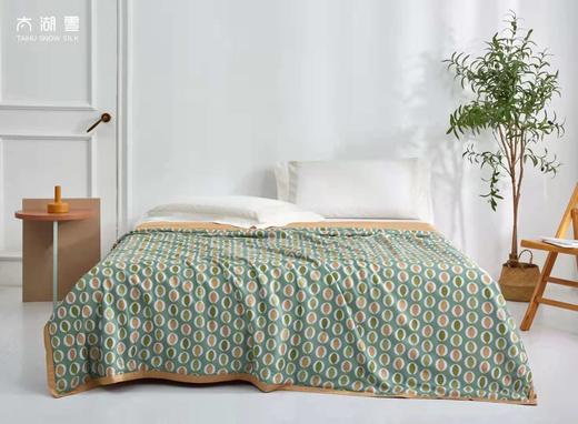 太湖雪雅棉水洗蚕丝夏被 商品图1