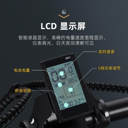 正步折叠电动车自行车20寸越野雪地车锂电池助力变速双人小电瓶车 商品图4