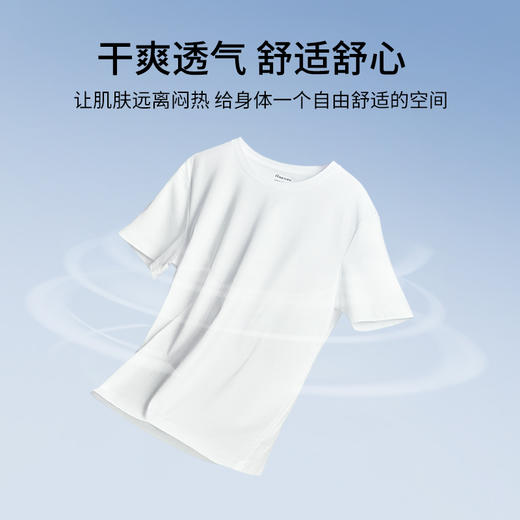 有棵树纯棉圆领男士T恤C-T666 商品图1