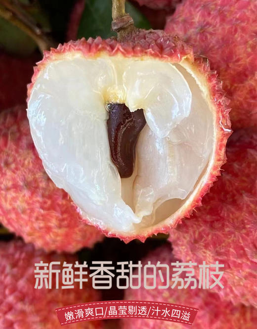 岭南荔枝卡卷 5斤装/10斤装 【从化桂味.糯米糍】 商品图0