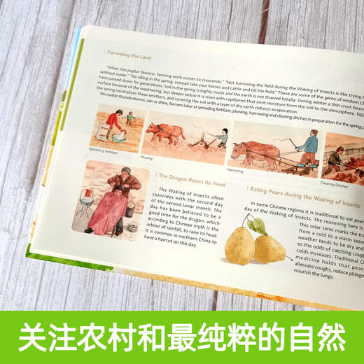 【英文版】这就是二十四节气英文版绘本全4册 小学生少儿百科全书 6-12岁推荐 商品图4