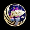 【中国航天】神舟飞船系列纪念大全套 商品缩略图13