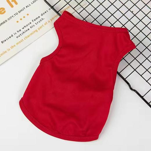 【夏季潮款宠物背心】狗狗衣服夏装 薄款大网眼狗背心 猫咪泰迪比熊博美宠物服饰 商品图14