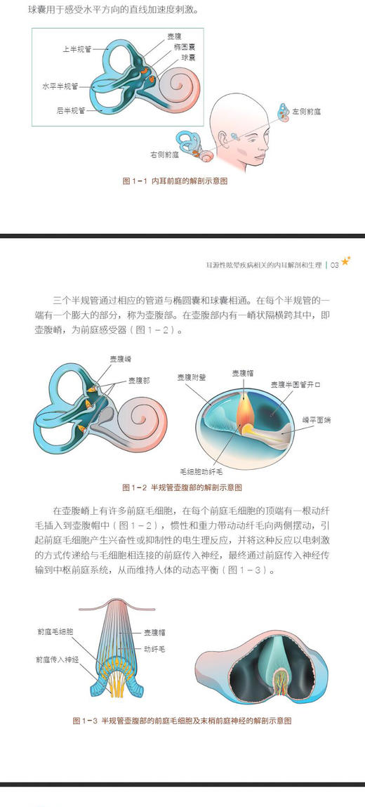耳源性眩晕自助手册 导致眩晕的常见耳源性疾病及其临床表现 前庭康复训练 耳科疾病书籍 杨军 主编 9787030692979科学出版社 商品图4