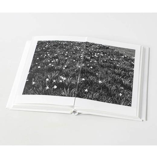 (仓发) 白百 原研哉著 中信出版社/中信出版集团股份有限公司/原研哉/9787521712650 商品图7