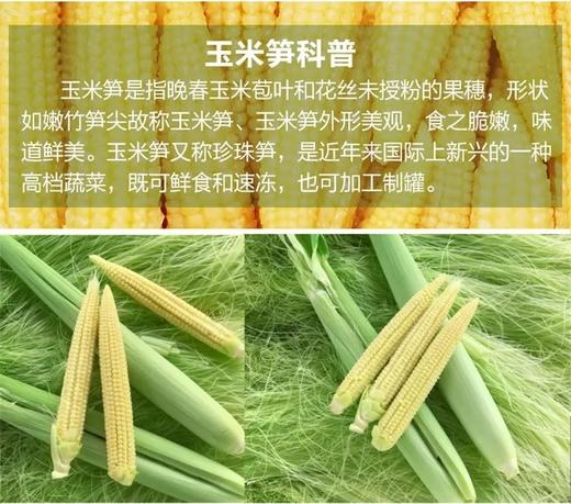 107粟米仔400克一份新鲜脆口