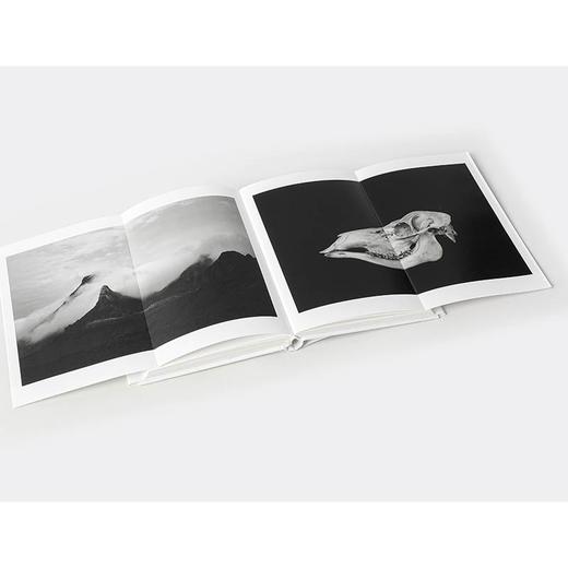 (仓发) 白百 原研哉著 中信出版社/中信出版集团股份有限公司/原研哉/9787521712650 商品图8