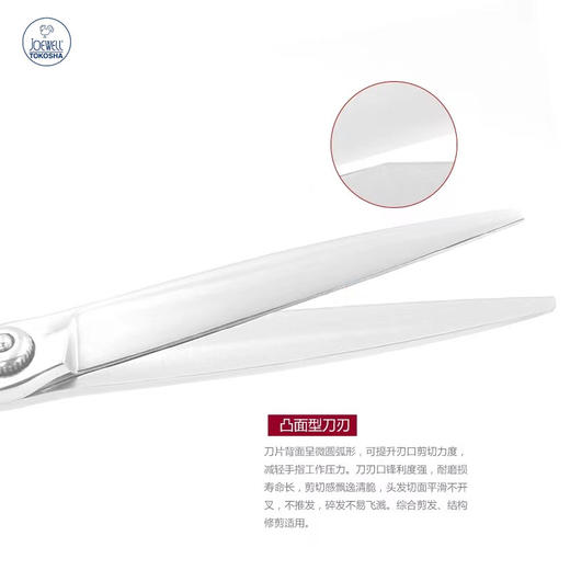 JOEWELL  井上鸡牌剪刀FZ60 综合剪 6.0寸剪刀 平剪 商品图2