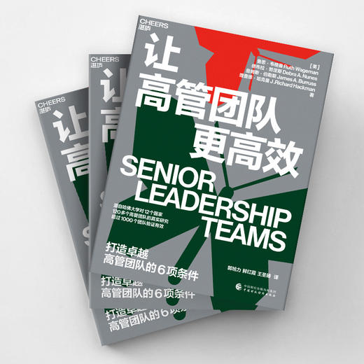 湛庐┃ 让高管团队更高xiao 商品图3