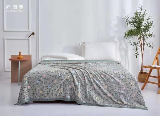 太湖雪雅棉水洗蚕丝夏被 商品图2
