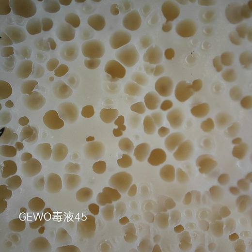 GEWO杰沃毒液45德系高弹反手用专业涩性反胶套胶 商品图5