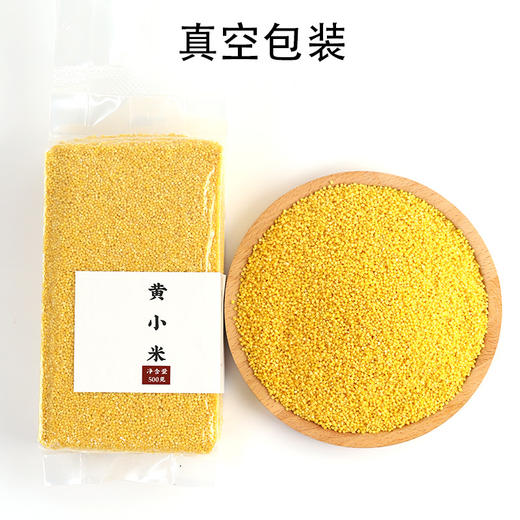 「农人匠心之作！两袋装」鹤来香黄小米500g1袋 山西内蒙新米农家香糯小米黄小米粮油米面 商品图3