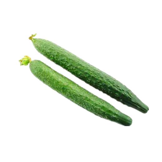 10元3斤新鲜黄瓜一份 商品图0