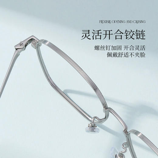 【特价秒杀款】普莱斯PT11122 合金+B钛 多边全框 商品图5