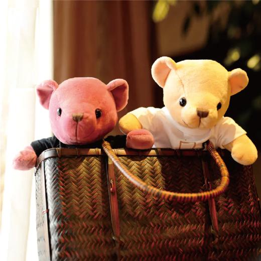 安腾忠熊 毛绒玩具布娃娃玩偶小熊公仔抱抱熊（颜色随机发货） 商品图0