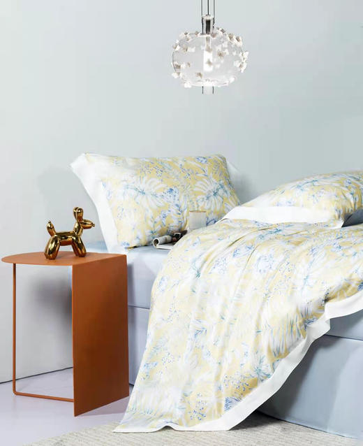 太湖雪天丝组合被（格致生活/沁夏物语） 商品图4