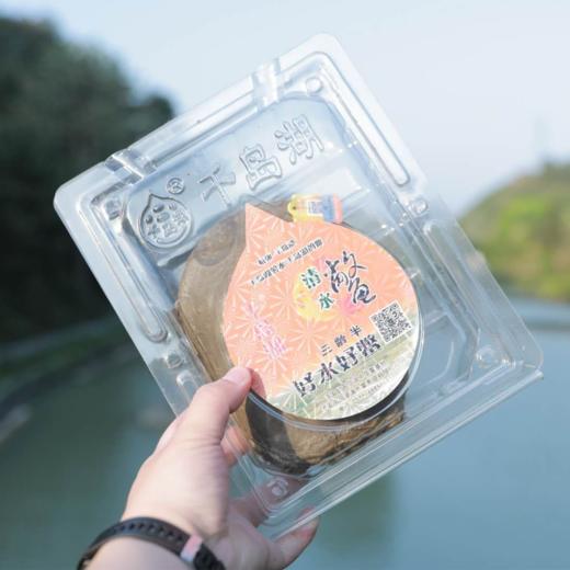 千岛湖清水鳖 中华鳖甲鱼 有机认证3年4年精品鳖现捕现宰冷链发出 商品图2