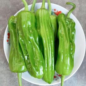 10元2斤新鲜辣椒一份