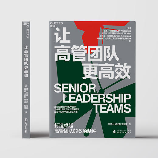 湛庐┃ 让高管团队更高xiao 商品图2