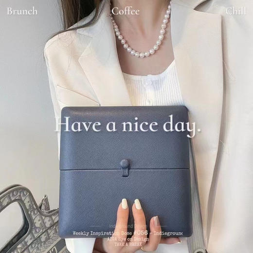 天然淡水珍珠项链 轻奢小众设计高级感锁骨链颈链复古配饰 商品图2