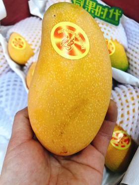 水仙芒三斤（拼团）