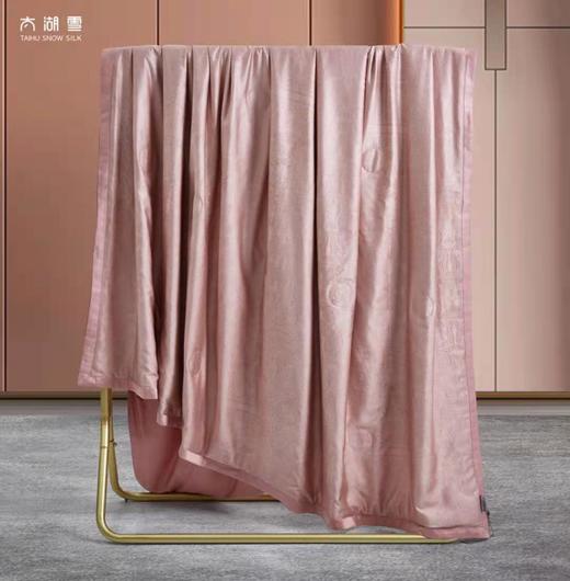 太湖雪雅棉水洗蚕丝夏被 商品图5