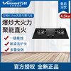 万和(Vanward) 灶具JZT-Q1-L06燃气灶4.5大火力1级能效 天然气 商品缩略图0