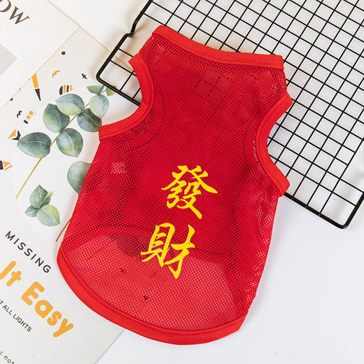 【夏季潮款宠物背心】狗狗衣服夏装 薄款大网眼狗背心 猫咪泰迪比熊博美宠物服饰 商品图8