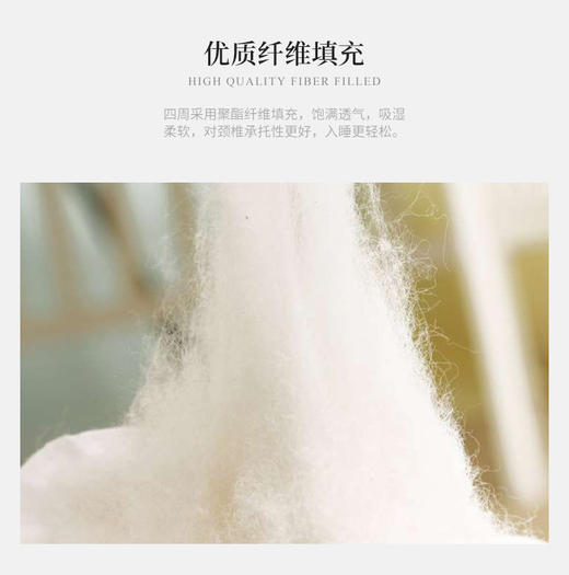 日销 贵妃羽丝枕 45X72CM 商品图1