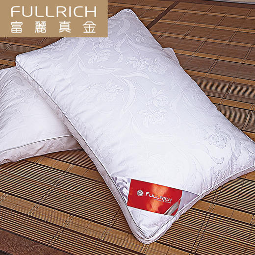 日销 贵妃羽丝枕 45X72CM 商品图0