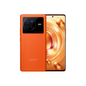 vivo X80