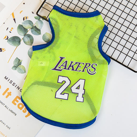 【夏季潮款宠物背心】狗狗衣服夏装 薄款大网眼狗背心 猫咪泰迪比熊博美宠物服饰 商品图2