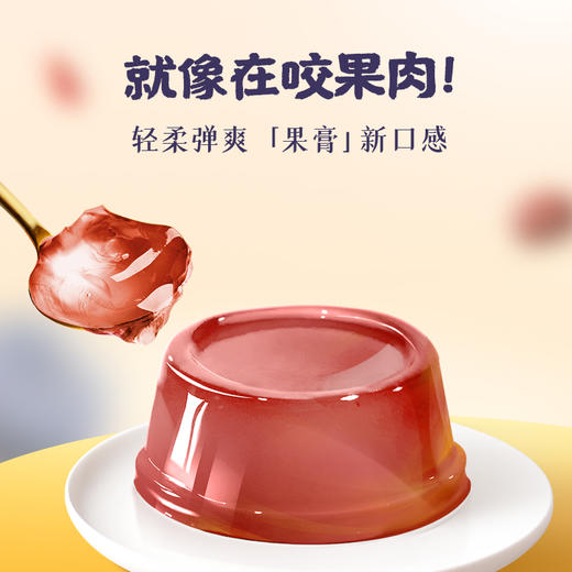 350g生和堂真果草本膏 多重口味 商品图4