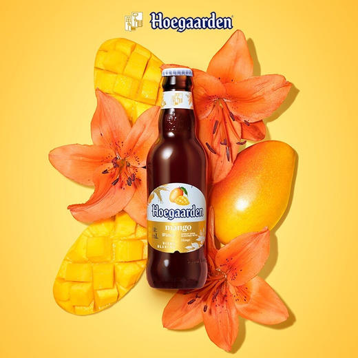 福佳阳光芒啤酒 商品图3