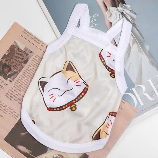 【轻薄透气 让宠宝享受裸感】宠物衣服 猫咪比熊法斗博美小型犬新款背心吊带狗狗衣服 夏季薄款 商品图11