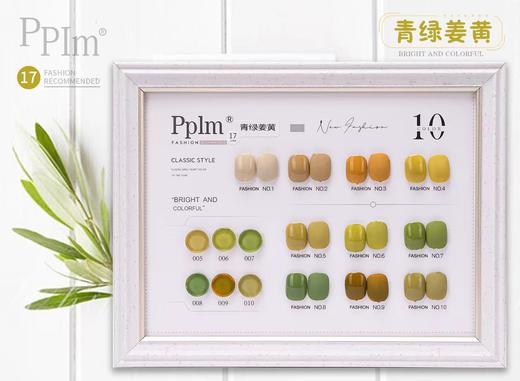 【秒杀价】pplm10色套装可选（配空白板） 商品图2
