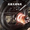 正步折叠电动车自行车20寸越野雪地车锂电池助力变速双人小电瓶车 商品缩略图1
