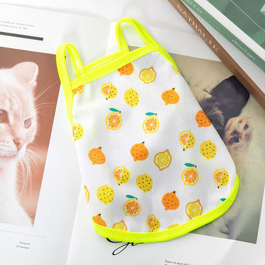 【轻薄透气 让宠宝享受裸感】宠物衣服 猫咪比熊法斗博美小型犬新款背心吊带狗狗衣服 夏季薄款 商品图14