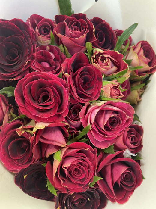 昆明玫瑰多头小可爱10支扎a级