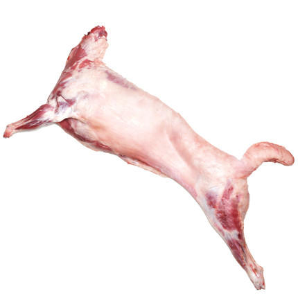 宁鑫盐池滩羊整只滩羊 白条18kg左右 四分体分割 带尾不去油发货 商品图3