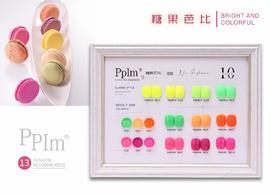 【秒杀价】pplm10色套装可选（配空白板）