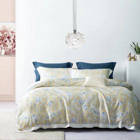 太湖雪天丝组合被（格致生活/沁夏物语）