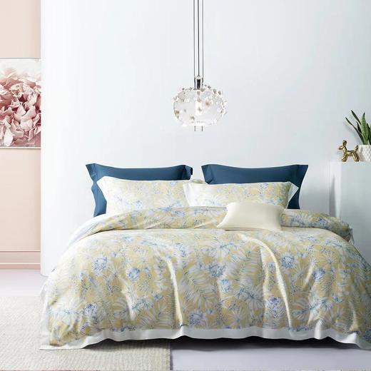 太湖雪天丝组合被（格致生活/沁夏物语） 商品图0