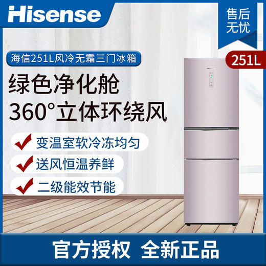 海信(Hisense) 251升 三门 冰箱 风冷无霜干湿分储 BCD-251WTDGS  梦境 商品图0
