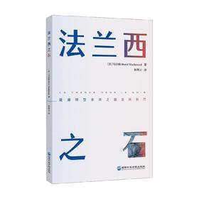 法兰西之石 马识路著 经济能源转型案例电力能源危机双碳绿色能源发展书籍