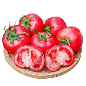10元3斤新鲜西红柿