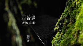 香圈大佬都偏爱的西普调究竟是什么来头？|香氛小百科013
