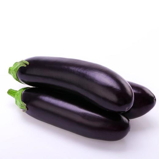 10元3斤新鲜茄子 商品图0