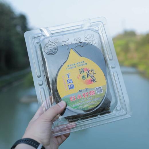 千岛湖清水鳖 中华鳖甲鱼 有机认证3年4年精品鳖现捕现宰冷链发出 商品图3