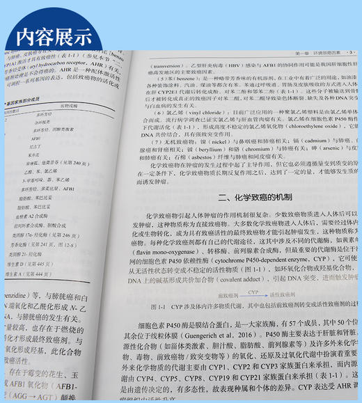 肿瘤的细胞与分子生物学 第2版 肿瘤的基本概念和一般生物学特点 肿瘤的病因学 发病学 郑杰 著 9787030696335科学出版社 商品图4